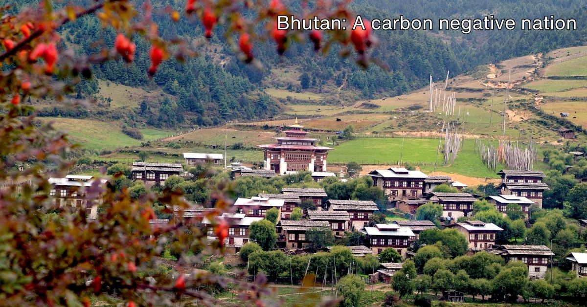Exploring 5 Facts about carbon footprint