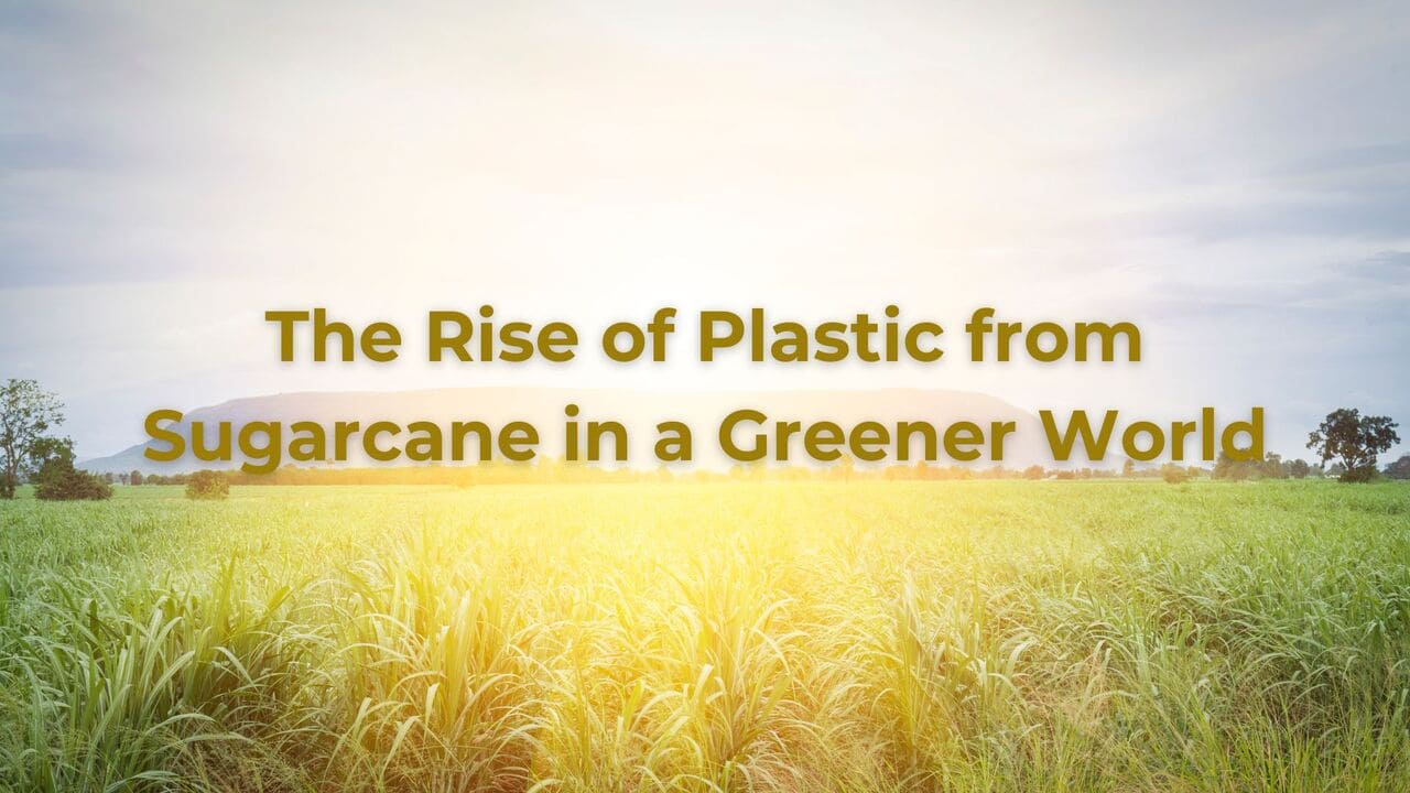 Renewable Revolution: The Rise of Plastic from Sugarcane in a Greener World