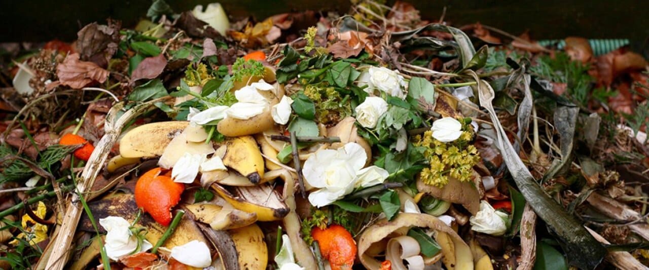 Biological plastics, biobased and biodegradable plastics differences - Biological plastics