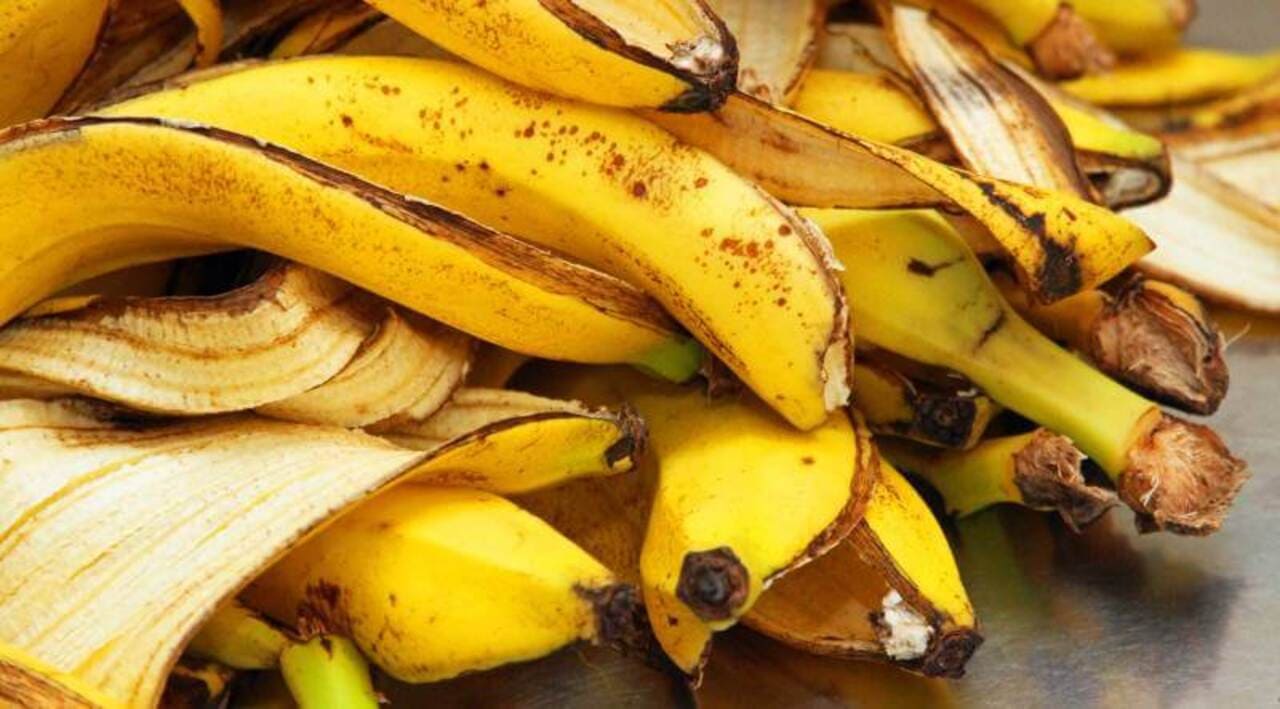 Bioplastic using banana peels Sustainable Packaging Solutions example Bioplastic using banana peels Sustainable Packaging Solutions example