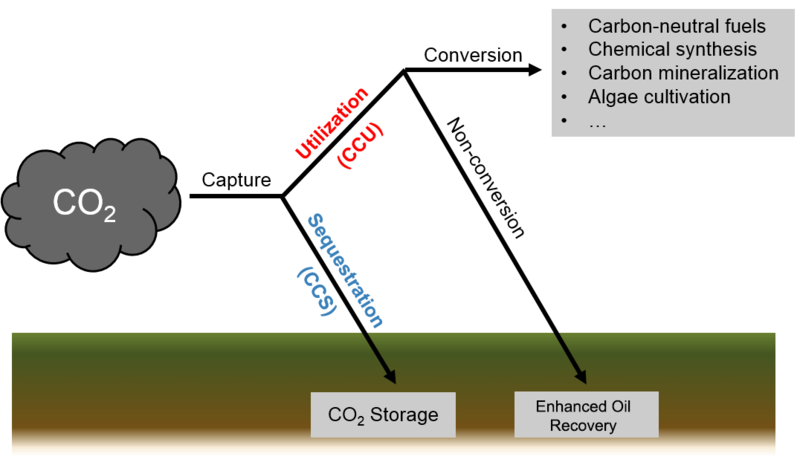 Carbon Offsets Understanding the Basics and Benefits carrbon offsets definition
