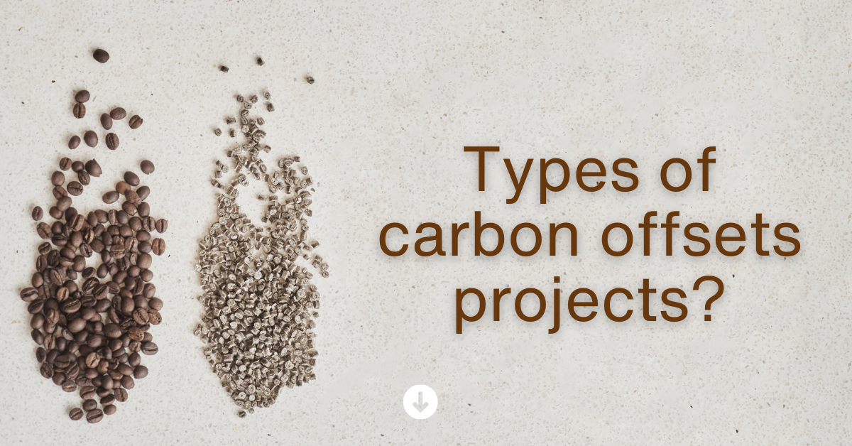 Carbon Offsets Understanding the Basics and Benefits carrbon offsets types